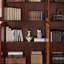 Bibliothèque américaine de style économique