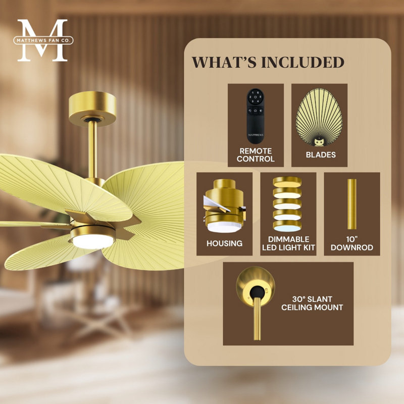 Alessandra Tropical - Five Blade Ceiling Fan - Integrated LED -Matte Black Finish -Light Blue Blades, Brushed Brass