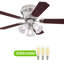 Ventilateur de plafond standard à 5 pales de 42 po avec chaînette et ensemble d'éclairage inclus Rosenblatt-1803910198