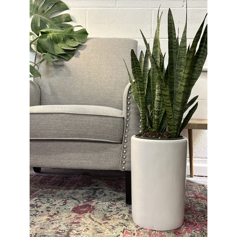 Pot de fleurs en céramique, Blanc