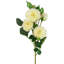 Jets de roses-86731922