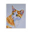 Plaque murale orange avec expression de chat, design par Tatiana Roberts