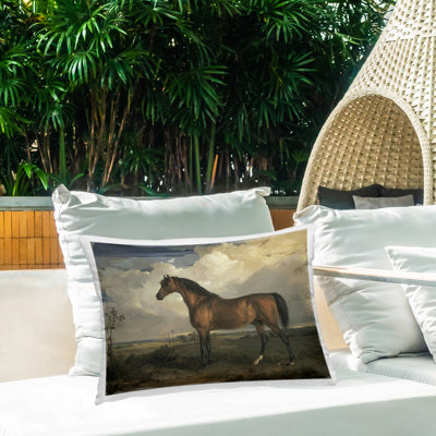 Coussin extérieur Overcast Clouds & Horse