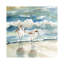 «Beach Birds» par Carol Robinson - reproduction d'art-49714486-49714489-119355252