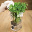 12 oz. Contenant alimentaire