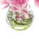Orchids Arranged With Vines In A Clear Glass Bubble Bowl