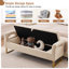 Banc de rangement Lunara 66 po L à couvercle rabattable rembourré, format king, avec pattes dorées, accoudoirs incurvés et 2 coussins-1956203548-1952879671