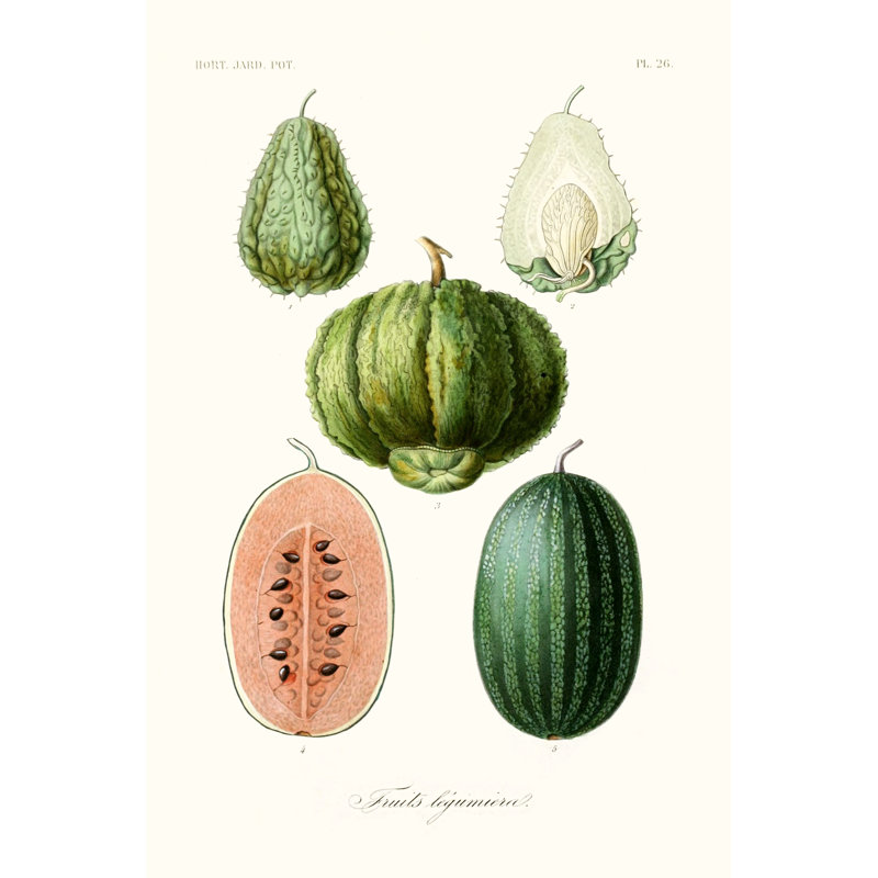 Fruit & Vegetable Varieties VIII 1 Piece Wrapped Canvas Wall Art, 91cm H x 61cm W x 3.8cm D