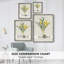 Fleurs des saisons VI, reproduction encadrée - bois massif-956500423