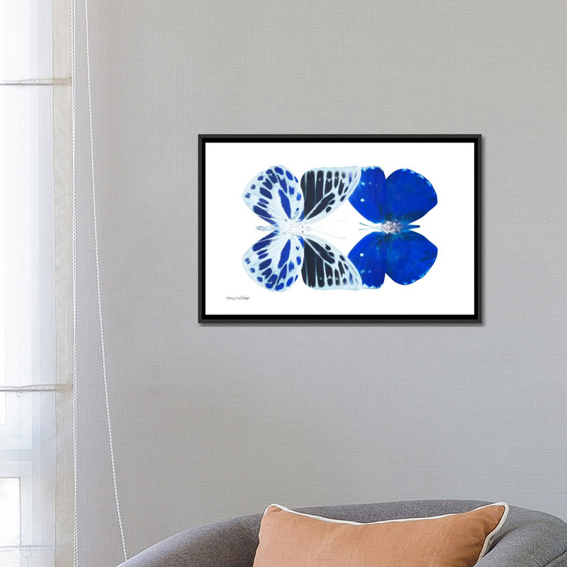 « miss papillon x-ray xiv », reproduction d’impression sur toile, H 18 po x l 26 po x P 1,5 po, Toile tendue