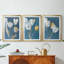 FLORAL Series CL - Impression sur mesure encadrée de qualité supérieure - 3 pièces-1384626050-1384626051
