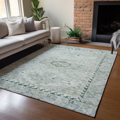Machine Washable Indoor/Outdoor Jadiel ACN2357 Traditional Rug