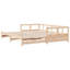 Rezo Solid Wood-1824206858-1824206856