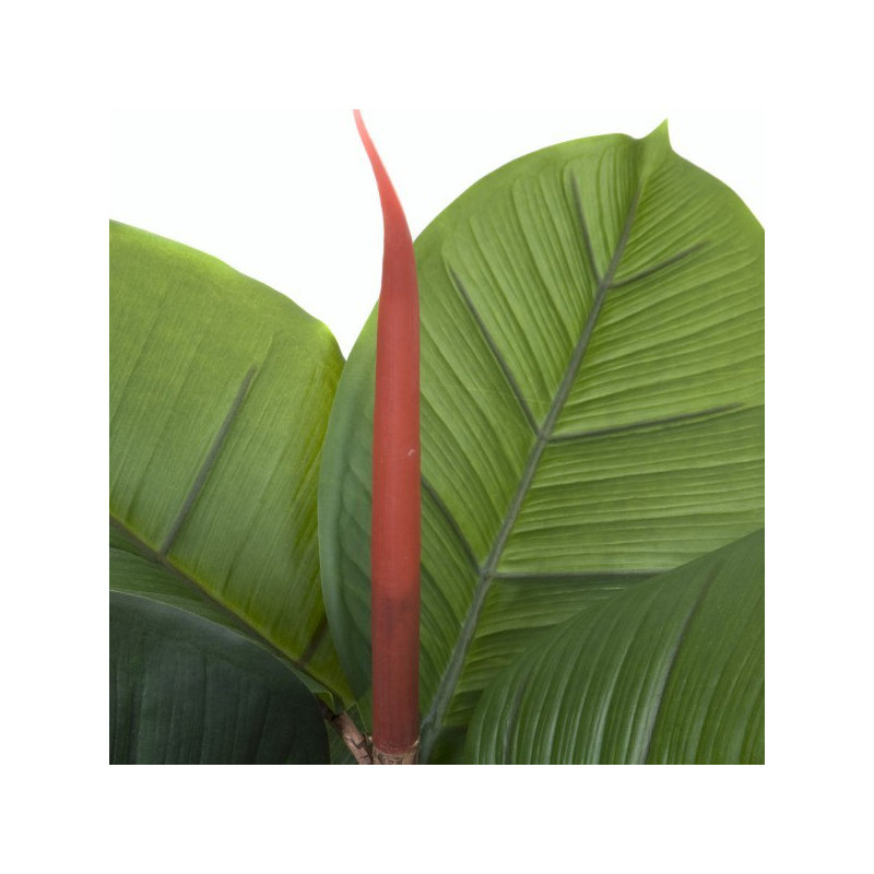 130cm Plant