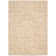 Huntingtown Viscose Abstract Indoor Rug
