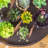 5'' Faux Succulent Grass