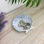 Shell Trinket Tray/ Soap Dish-97011436