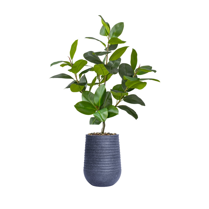 Hévéa artificiel en pot 66,08 ", Noir