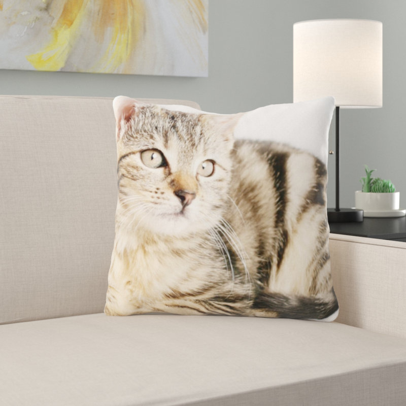 Coussin pour chat