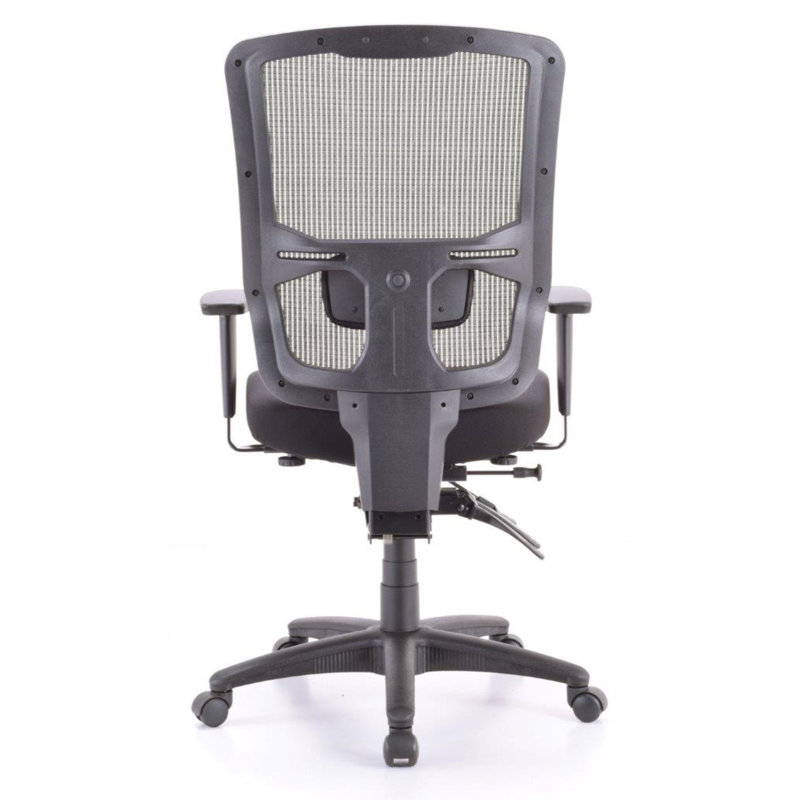 Ergonomic Task Chair
