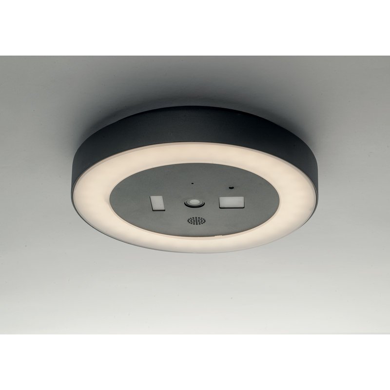 Anthracite LED Outdoor Flush Mount