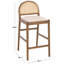 Laylie Rattan And Leather Counter Stool-1887483494