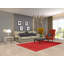 Tapis tribal rouge Gabbeh 5 x 8 po