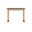 Diversified Spaces School Classroom Science Lab Table, 24"x48" Black Epoxy Table Top Worksurface, Solid Oak Wood, Made in USA