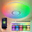Carlette LED Smart Flush Ceiling Lights Wi-Fi RGB Connect with Tuya Works with Alexa, Google Home