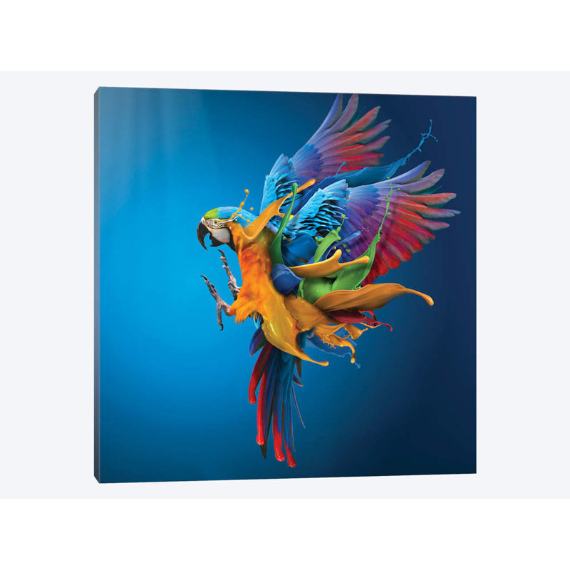 Sulaiman Almawash - Wrapped Canvas Print, 66.04 cm H x 66.04 cm W x 1.91 cm D
