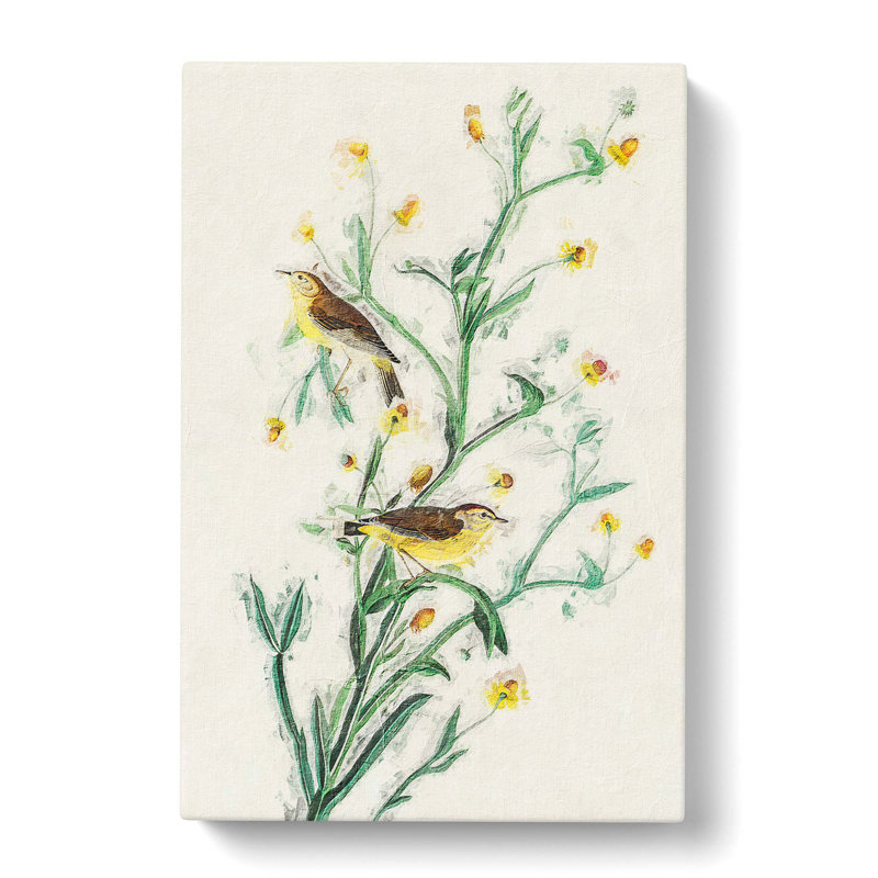 Yellow Red-Poll Warbler from Birds by John Audubon - Wrapped Canvas Painting Print, 60cm H x 40cm W x 3cm D
