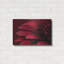«Petals Of A Red Gerbera» par Tom Quartermaine-573768644