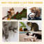 Gertrude 70cm H Cat Tree-1013703119