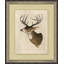 Deer Head 2 Print