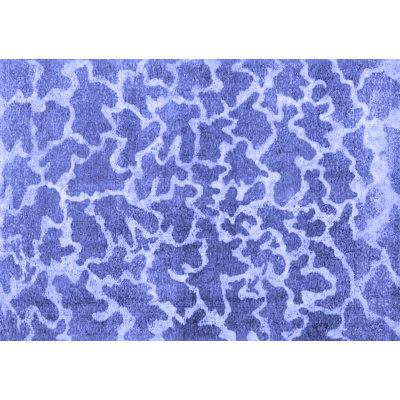 Tapis bleu / blanc en laine / polyester tissé à la machine Clayford