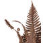 Applique murale 1 lumière Fern
