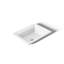 Artifacts 21 In. Rectangular Drop-In Bathroom Sink