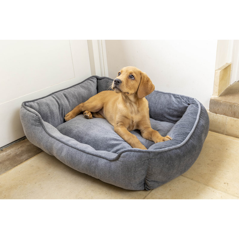 Herrera Polyester Pet Bed, Grey, Medium (65cm W x 55cm D x 21cm H)