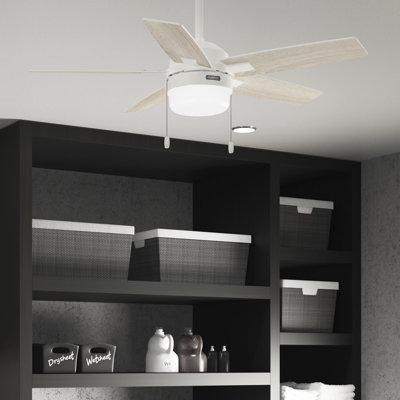 Anisten 44" 5 - Blade Indoor Ceiling Fan With Lights and Pull Chains, Small Room