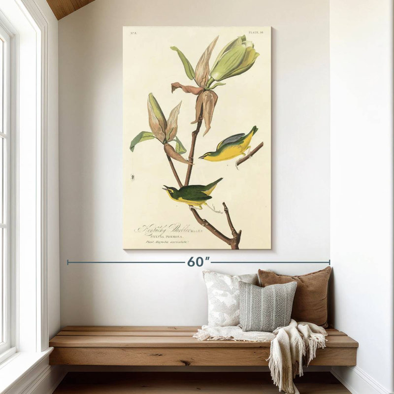 Brampt Kentucky Warbler, 51" H x 34" W