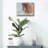 " Equine Exercise " by Robert Campbell-740546333