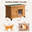 Maison de chat jaune-1672560296