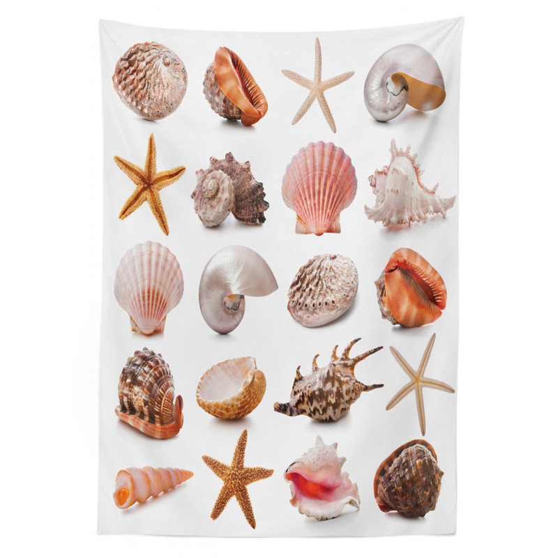 Seashells Tablecloth, Seashell Pattern Scallop Nautilus Mollusk Summer Holiday Destinations Marine, Rectangular Table Cover For Dining Room Kitchen Decor, 60" X 84", Multicolor