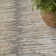 Cladia Abstract Indoor Rug