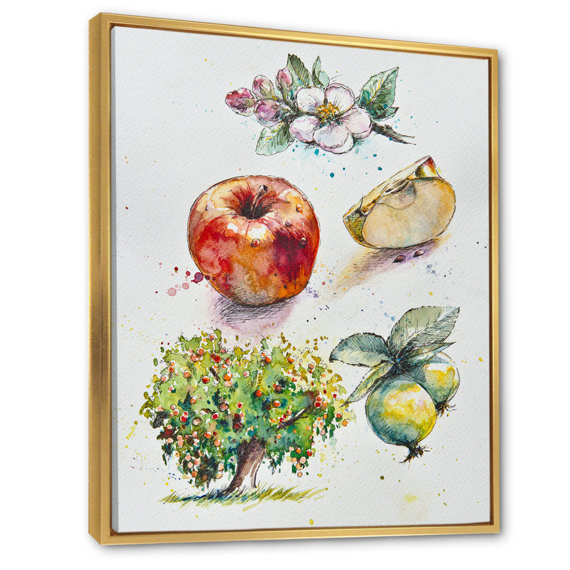 «Set of Apple Botanist Ii», reproduction d'art sur toile, H 12 po x l 8 po x P 1 po, Cadre flottant doré
