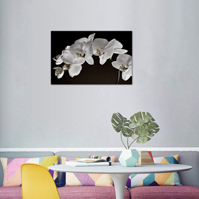 " Orchids "