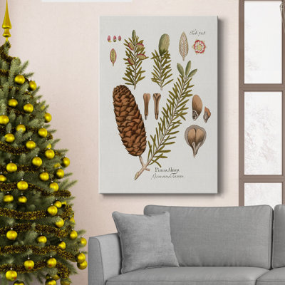 " Botanical Fir " Painting Print
