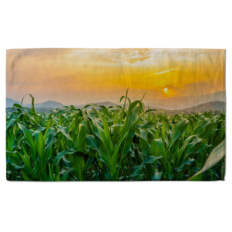 Nehmia Polyester Shower Curtain Set