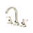 Polished Nickel