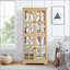 Vitrine Curio-1664083452